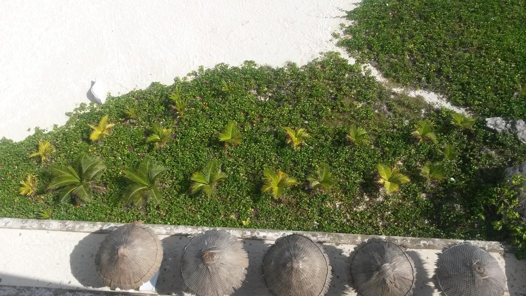 Apartment Cancún Værelse billede